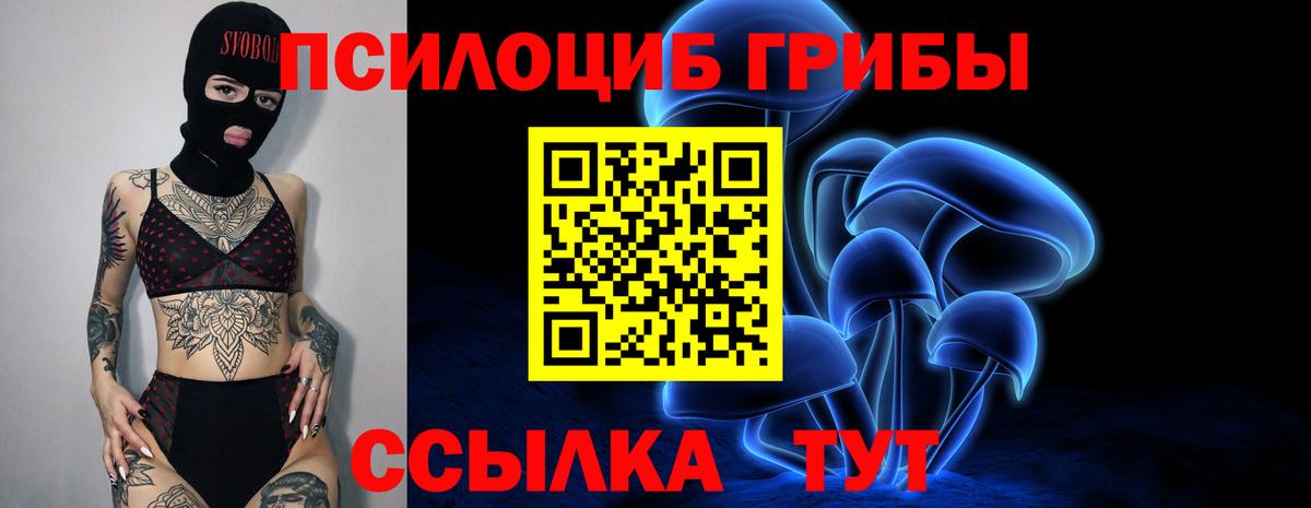 Усинск  Галлюциногенные грибы мухоморы  Псилоцибиновые грибы MAGIC MUSHROOMS  Вход с VPN 